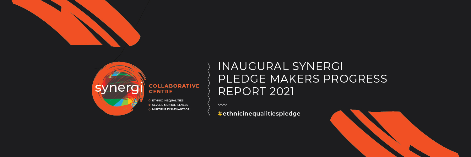 Synergi's Inaugural Pledge Makers Progress Report 2021