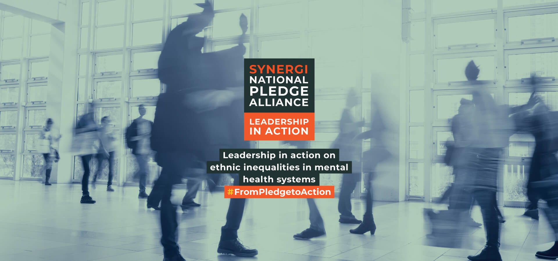 Synergi Pledge Makers Progress Report No: 2 Publication date: Tuesday 22nd November 2021